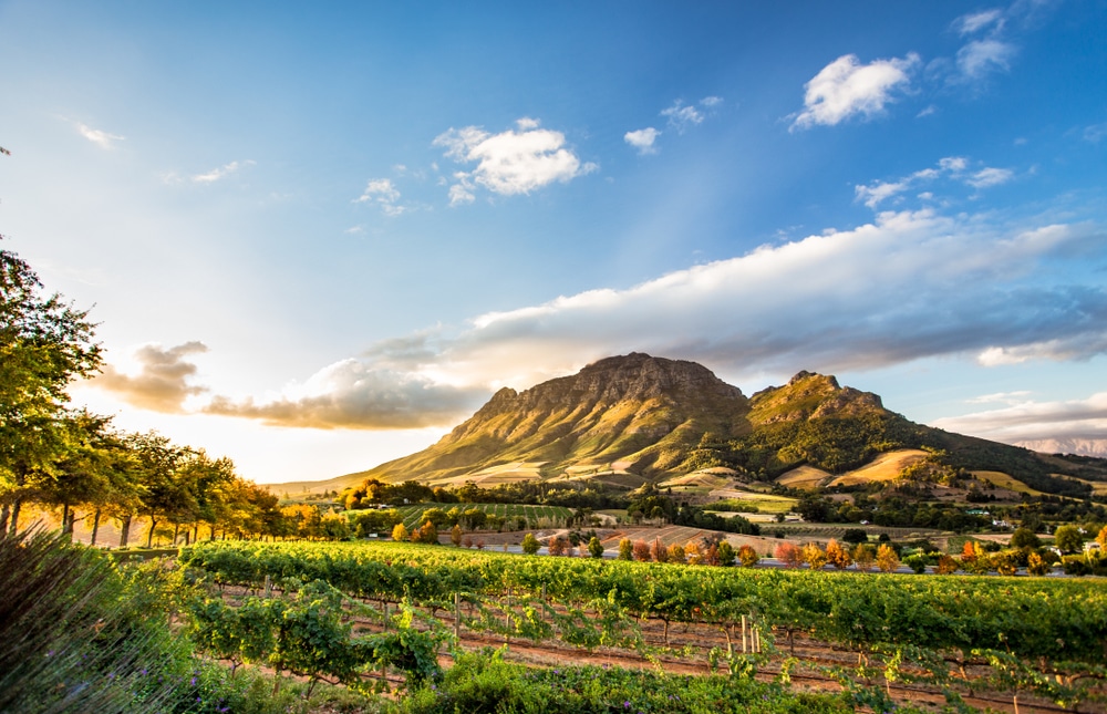 Južna Afrika: 20 najzanimljivijih znamenitosti