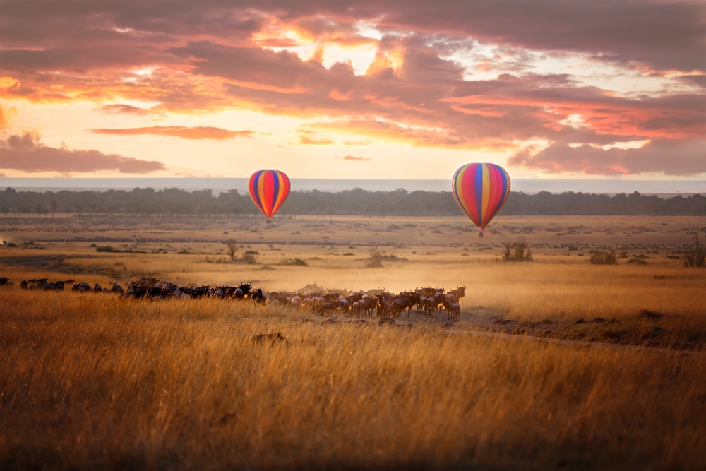 Kenija kao safari zemlja: 18 najboljih znamenitosti
