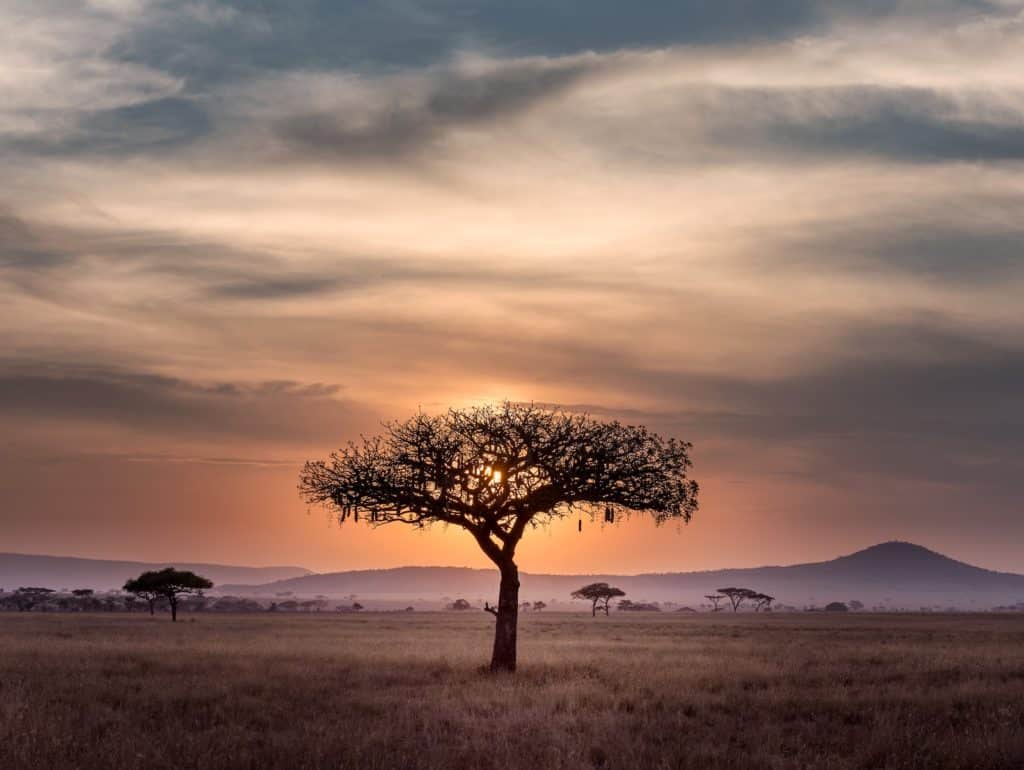 Prirodna ljepota Afrike