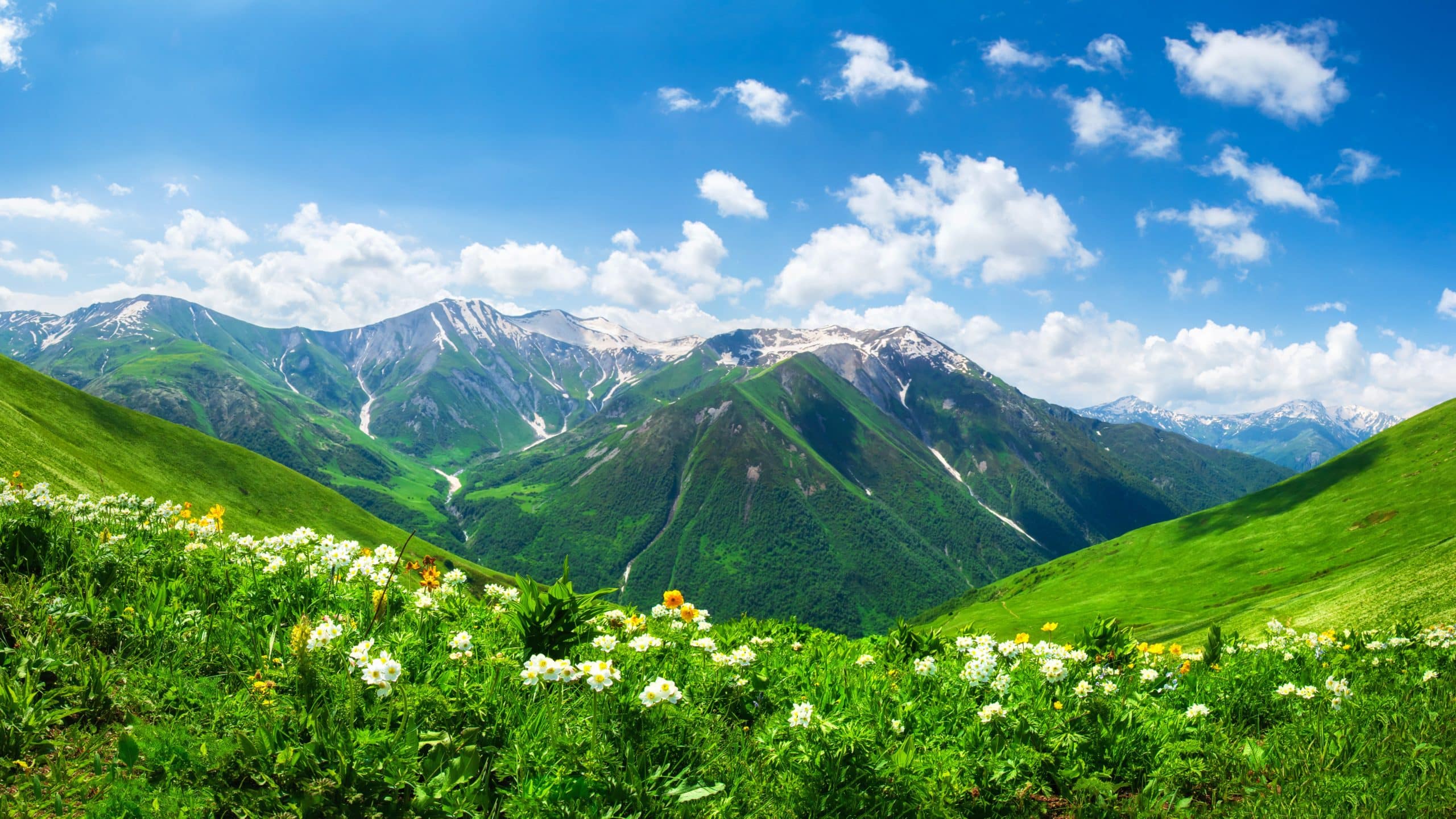 Kavkaz: Tapiserija povijesti, geopolitike i prirodne ljepote