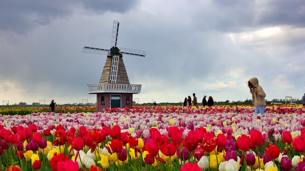 Putovanje u Amsterdam: 9 savjeta za nezaboravan vikend