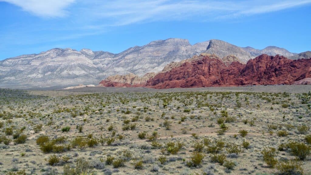 red rock canyon