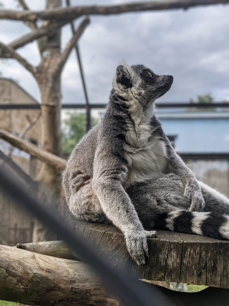 Najveći zoološki vrt u Hrvatskoj