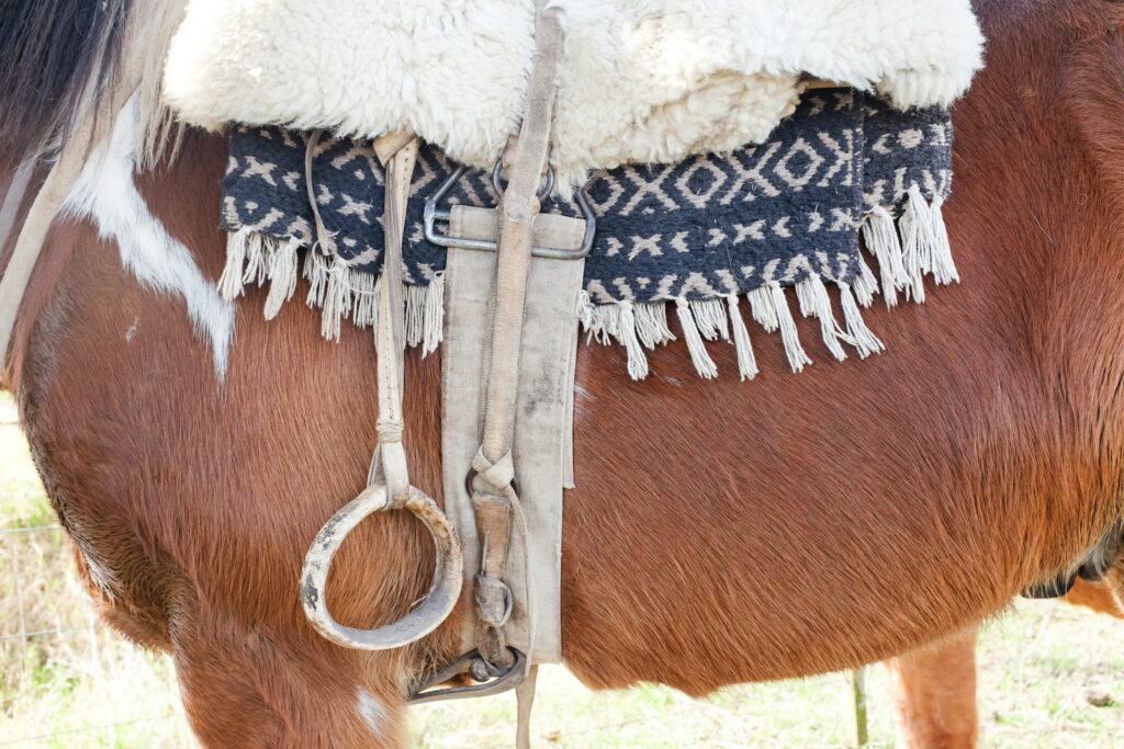 gaucho kultura