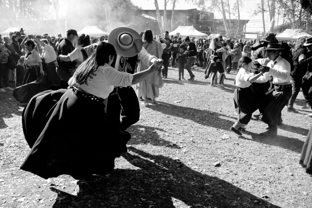 gaucho konji